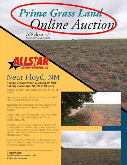 Prime Grass Land Online Auction