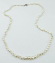 14KWG Graduated Pearl Necklace