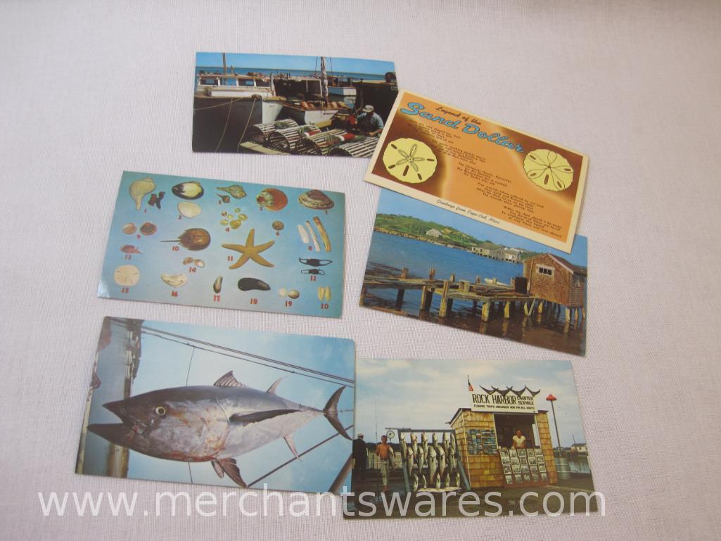 Vintage Cape Cod MA Postcards, Brochures and more, 9 oz