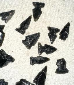 17 Authentic Obsidian Bird Points