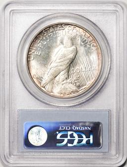 1923-D $1 Peace Silver Dollar Coin PCGS MS64