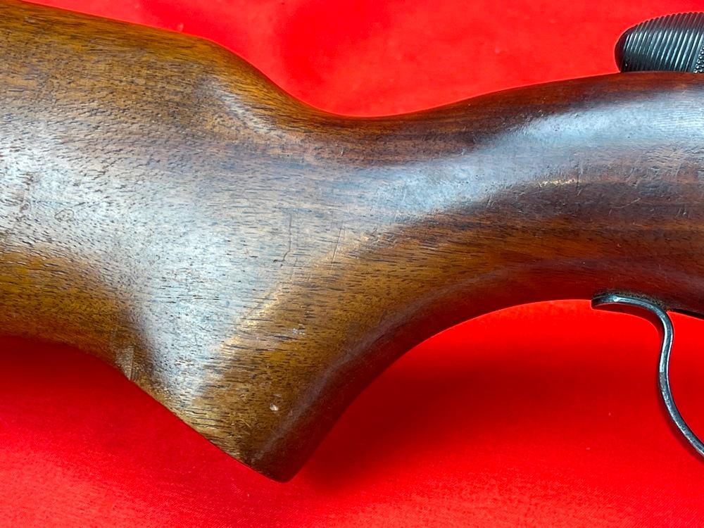Remington 550-1, 22-Cal., NVSN