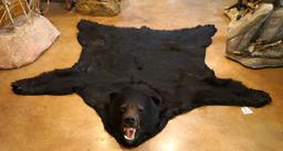 Large Black Bear Rug Taxidermy Mount