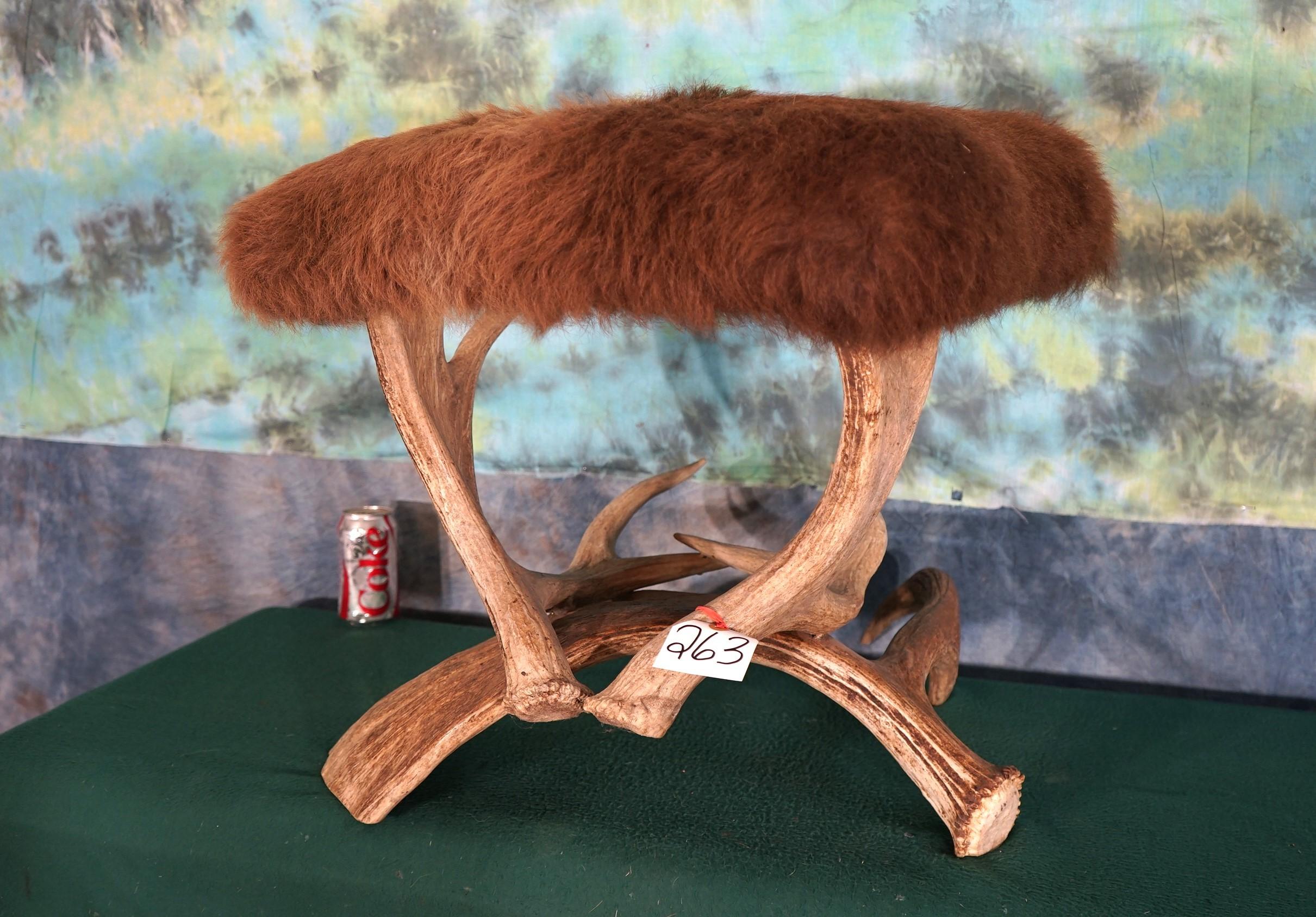 American Bison Skin Footstool with Moose Antler Legs