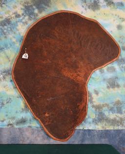 African Elephant Ear mounted on Panel Taxidermy  **U.S. Residents Only!**