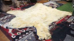 Pre-Marine Mammal Act Vintage Polar Bear Rug Taxidermy Mount  **U.S. Residents Only!**
