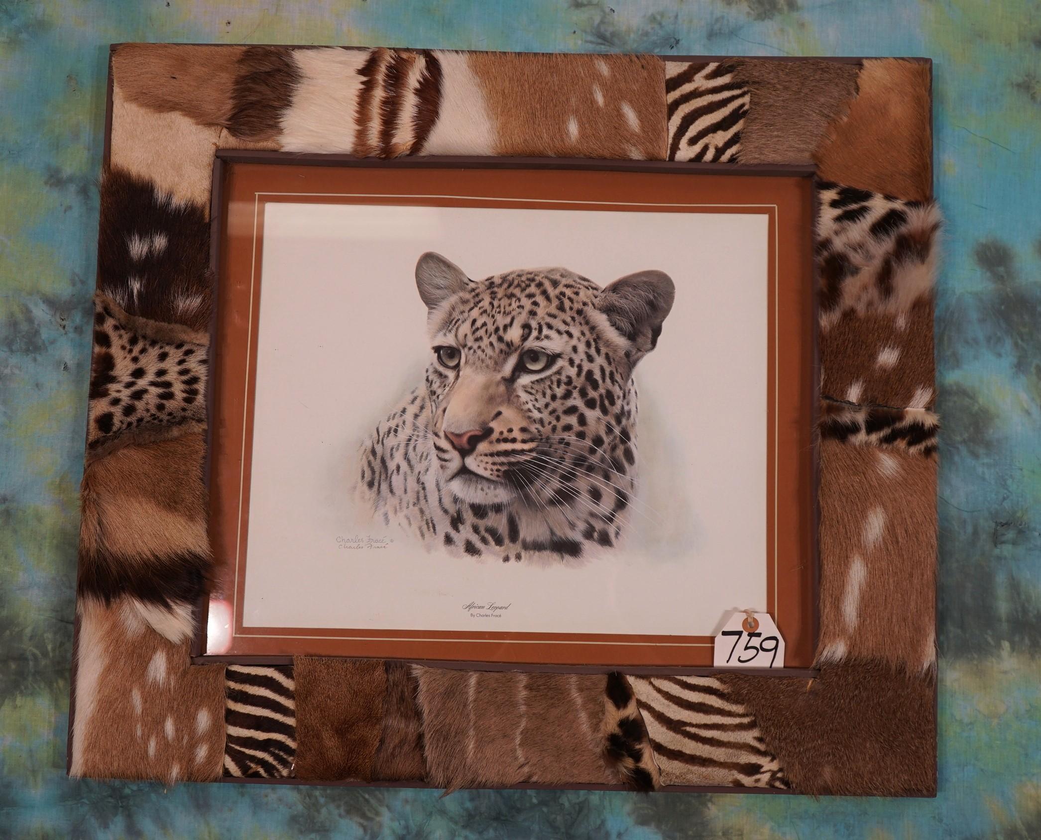 Gorgeous African Leopard Framed Print by Charles Frace'