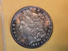 1882-S Morgan Dollar in Uncirculated - details