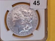 PERFECT! NGC 2023 Morgan Silver Dollar in Mint State 70