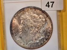 ANACS 1901-O Morgan Dollar in Mint State 63