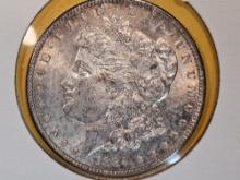 1884 Morgan Dollar