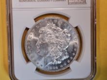 NGC 1904-O Morgan Dollar