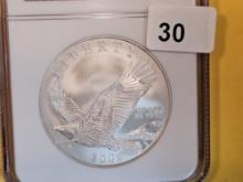 NGC 2008-P Bald Eagle Commemorative Silver Dollar