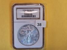 NGC 1996 American Silver Eagle in Mint State 69