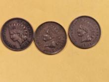 1902, 1904, and 1905 Indian Cents