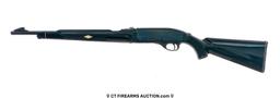 CBC Nylon 66 .22 LR Semi-Auto Rifle
