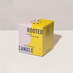 Modern Sprout Rooted Candle - Lavender, Retail $20.00