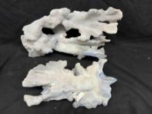 Large Nice Pieces of Coral