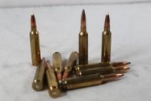 Bag of Nosler 6.5 x284. Four SP and 6 ballistic tip. Count, 10.