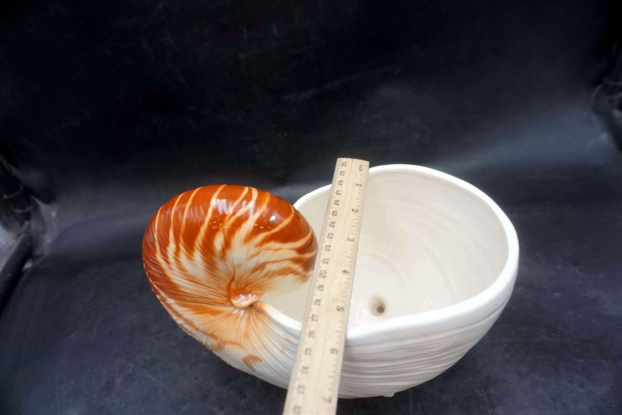 Shell Planter & Mixing Spoons