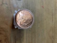 Buffalo Copper Coins