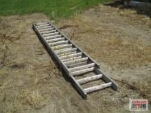 Werner D1228-2 28' Extension Job Master Medium Duty Commercial Ladder, Type II