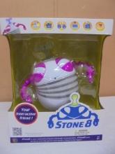 Stone 8 Your Interactive Friend