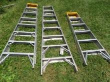 (3) Aluminum stepladders