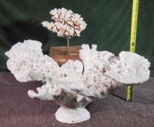 2 Very Nice Pieces Of White Coral Specimens