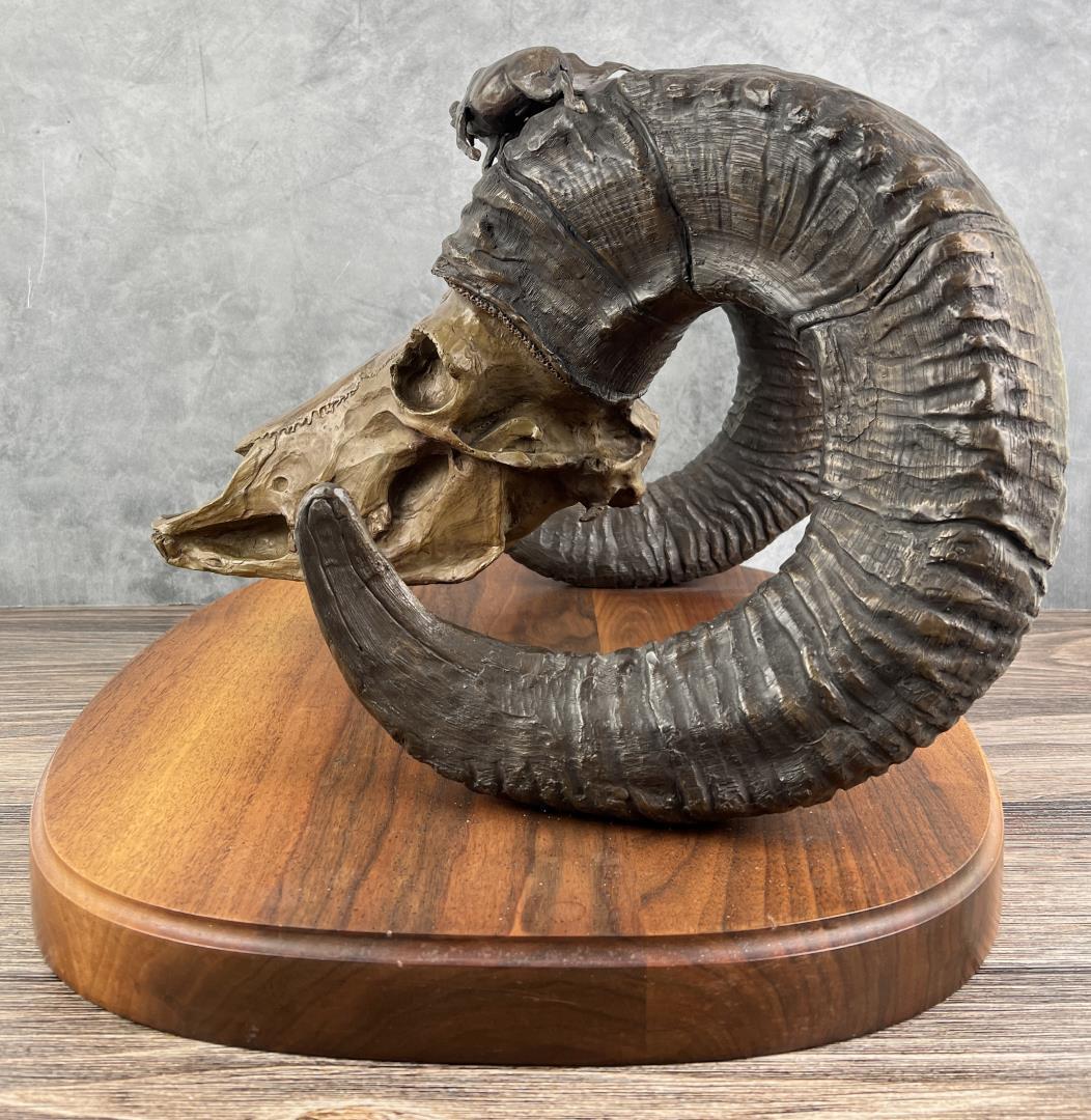 Ron Herron Bighorn Sheep Skull Bronze Montana