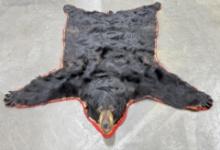 Montana Taxidermy Black Bear Rug