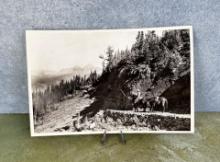 Glacier Park 50 Mountain Trail Photo