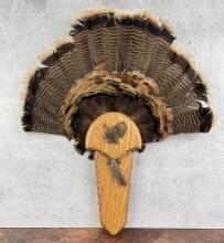 Taxidermy Turkey Feather Tail Fan