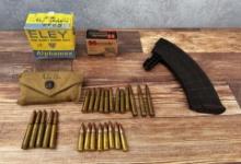 Collection of Ammo and Magazine