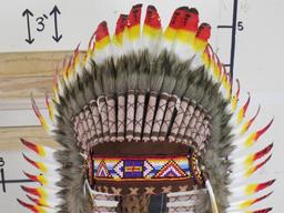 Feather Indian Headdress "Contemporary" Stand Not Included