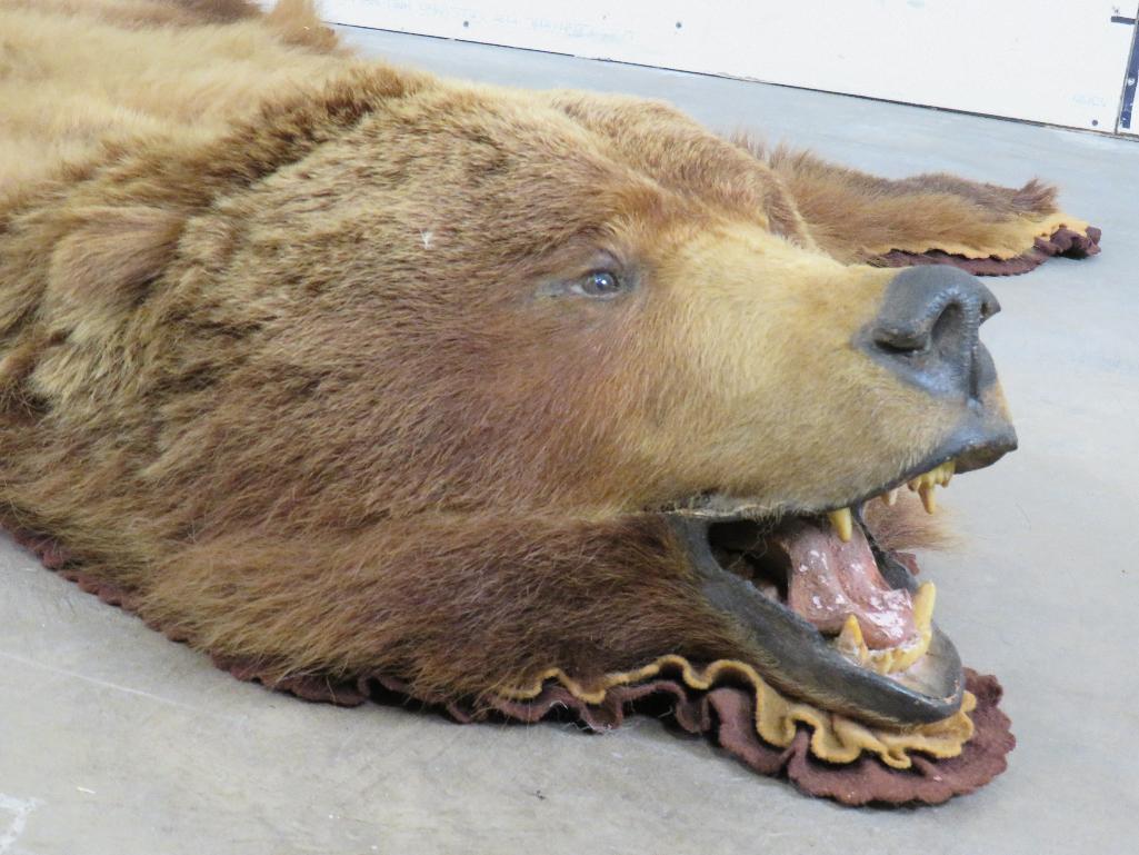Vintage Felted Bear Rug w/Mounted Head and No Claws TAXIDERMY