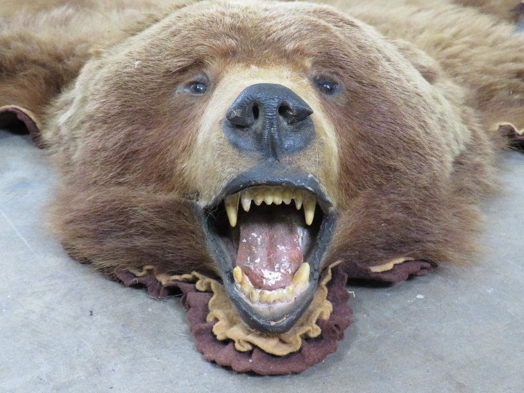 Vintage Felted Bear Rug w/Mounted Head and No Claws TAXIDERMY