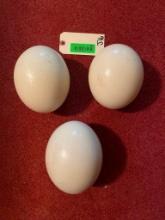3 Ostrich eggs, great for Scrimshaw, artwork or crafts. 8X5X2" big nice eggs, great for taxi