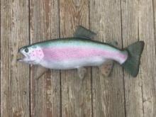 Beautiful Repro, Rainbow Trout fish,, New in Box, about 21 inches long excellent fish taxidermy beau