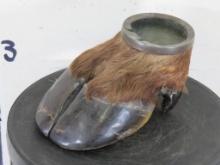 Elk Hoof Ashtray TAXIDERMY ODDITIES