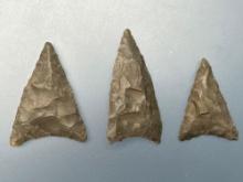 3 FINE and THIN Onondaga Chert Triangles, Iroquoian, Longest is 1 3/16", Found in New York