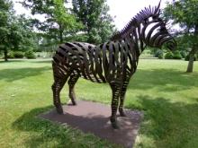Iron Zebra