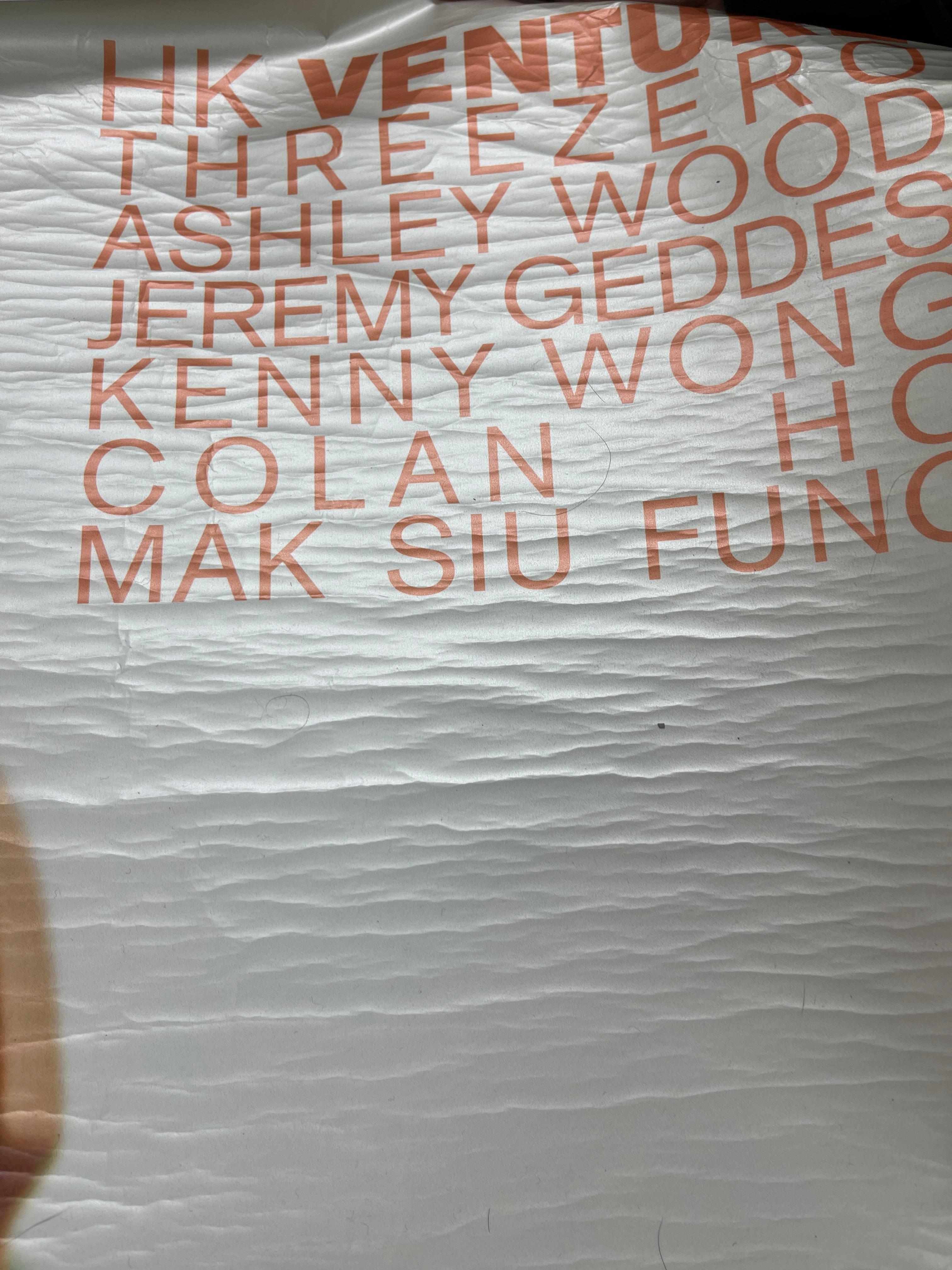 Ashley Wood Signed Screen Print Vinyl Poster