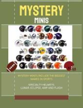 Mystery Mini Helmet