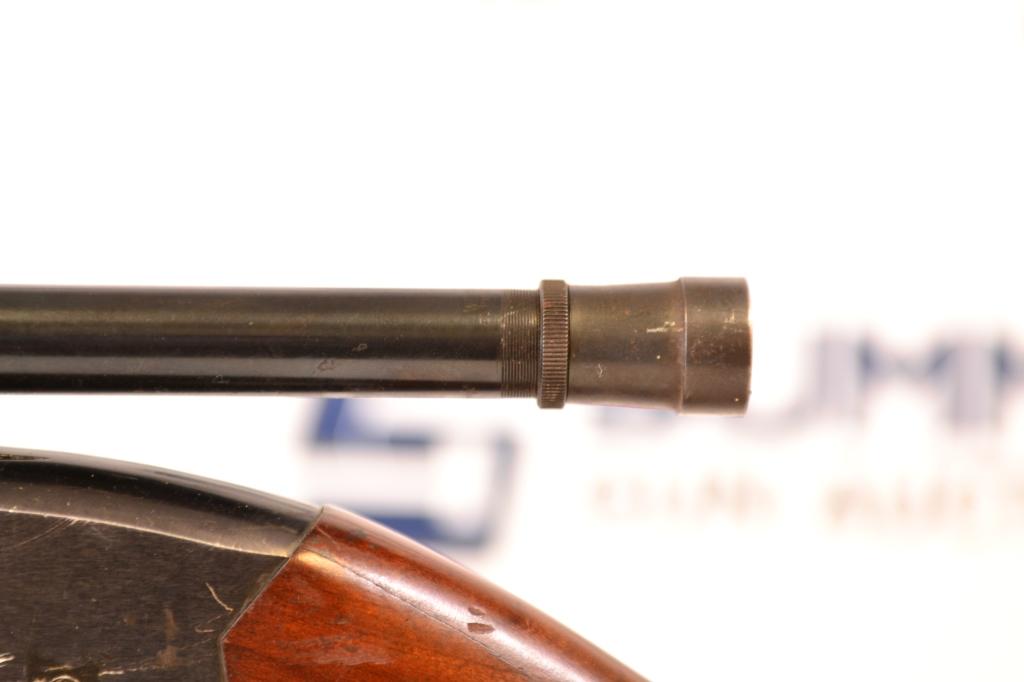 Winchester Mode 250 .22 S/LR