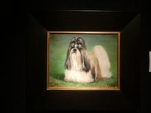 Cassidy Shih Tsu Oil Painting