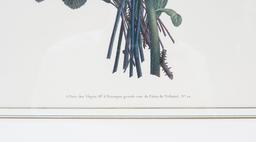 Jean Louis Prevost Hand Colored Framed Botanial Prints