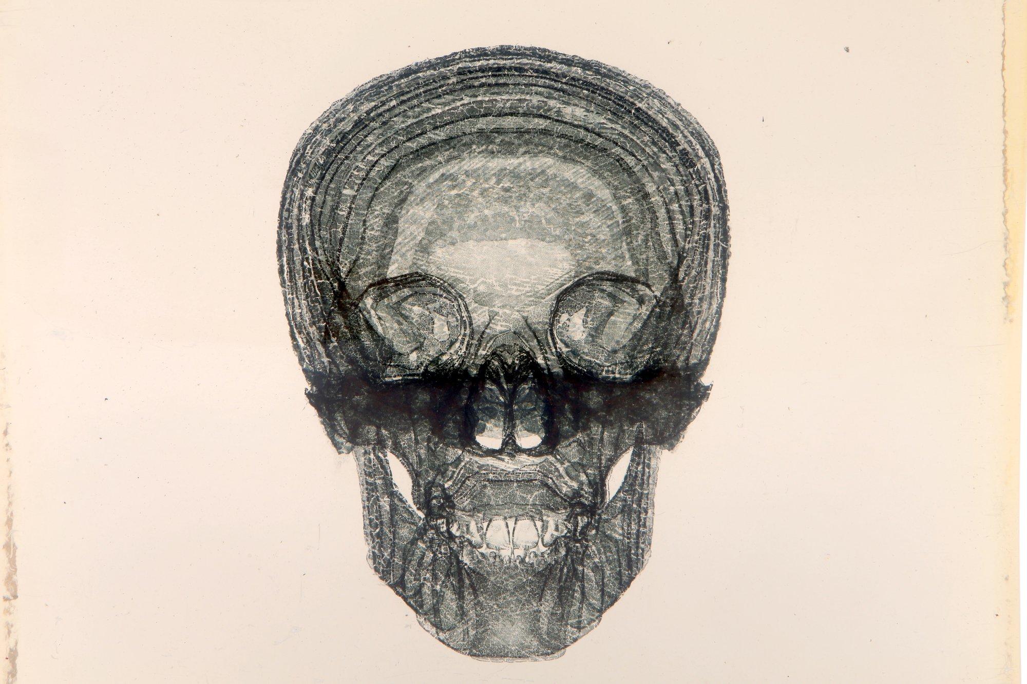 Dustin Yellin Skull Sculpture