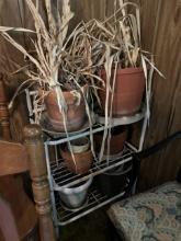 Plant Stand with Pots