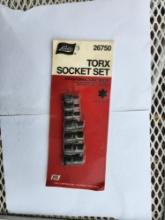 torx set